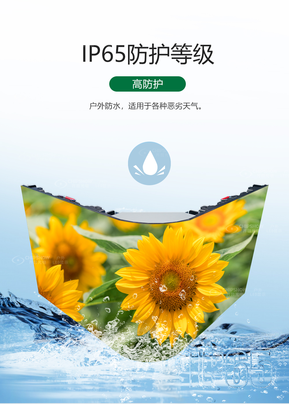 香港宝典六资料大全