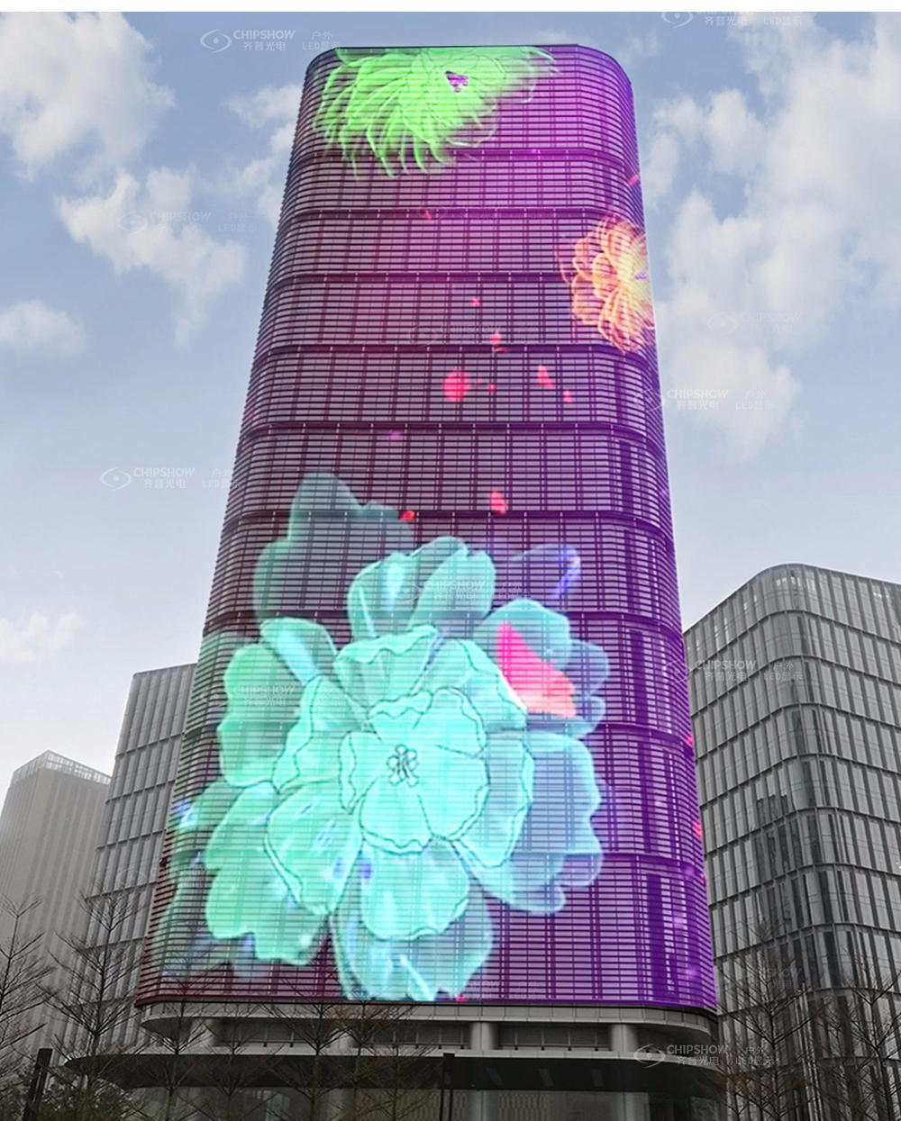 香港宝典六资料大全