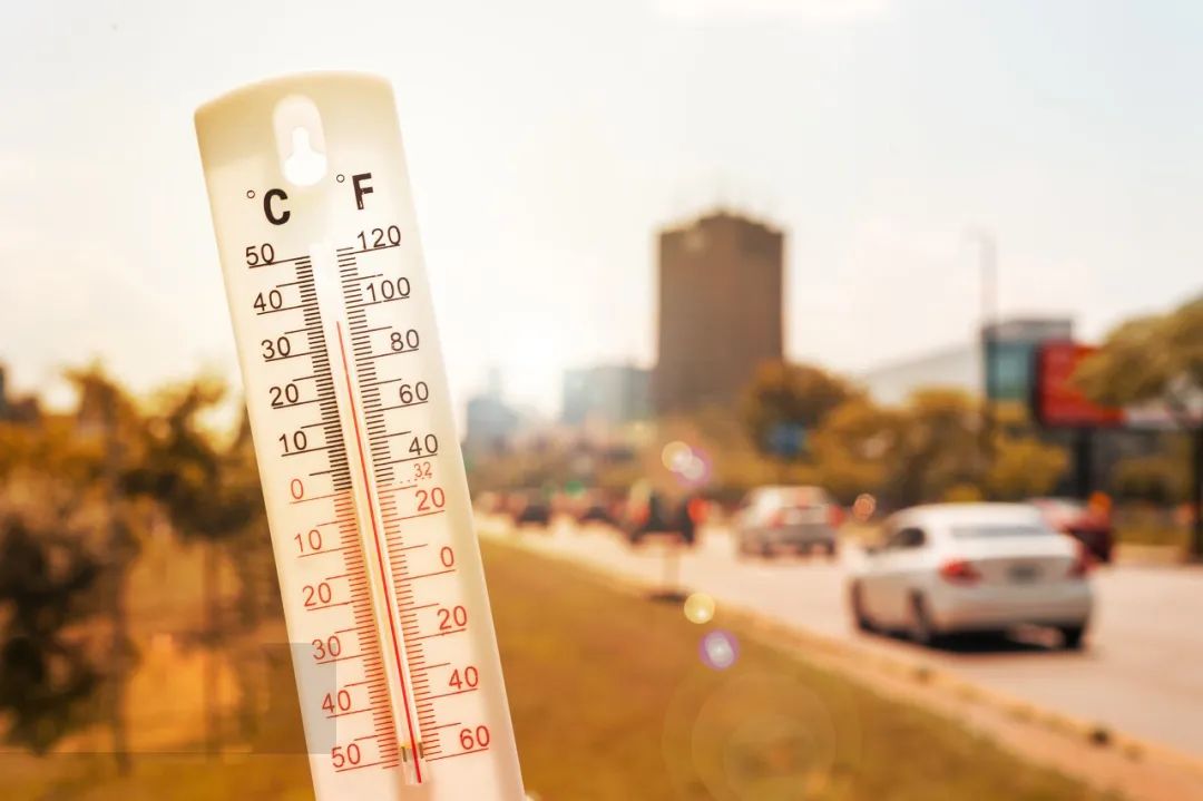 香港宝典六资料大全