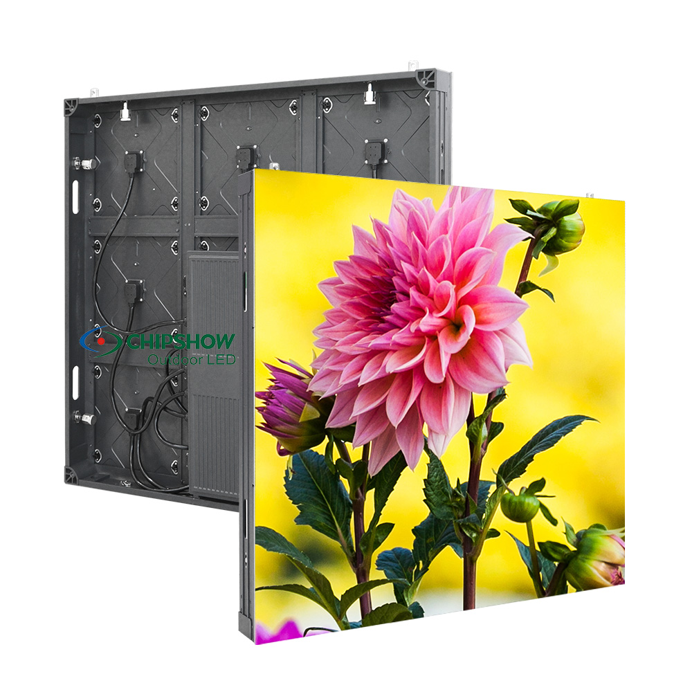 香港宝典六资料大全