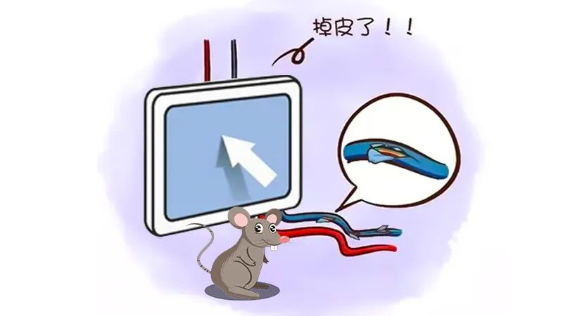 香港宝典六资料大全